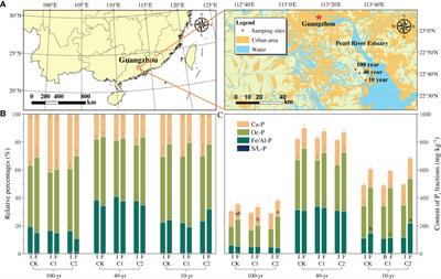 Effects of Cd addition on soil phosphorus mineralization in reclaimed coastal wetlands along a 100-year reclamation chronosequence in the Pearl River Estuary (China)